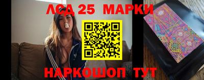 spice Камышлов