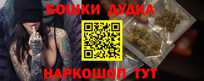spice Камышлов